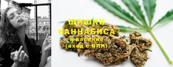 spice Кодинск