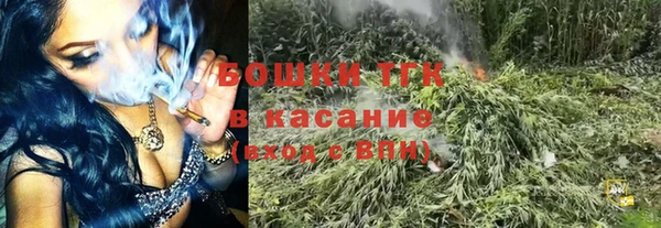 spice Кодинск
