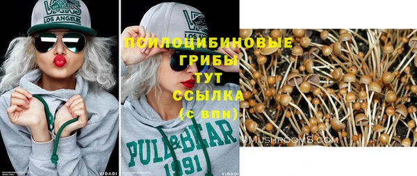 альфа пвп Козловка