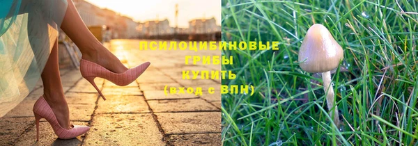 метамфетамин Козельск