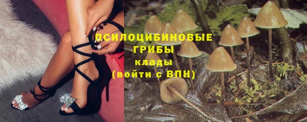 spice Кодинск
