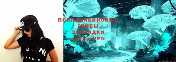 альфа пвп Козловка