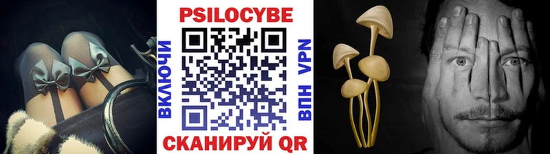 Купить закладки  Воркута  Псилоцибиновые грибы мухоморы 